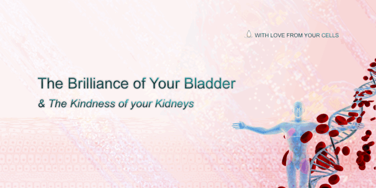 With Love From Your Cells – Ep. 1 (Bladder)